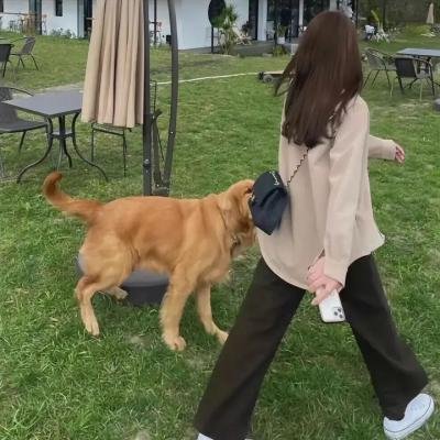 疯狂的麦咭第六季